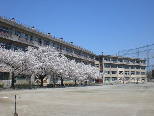 鶴ヶ島市立藤中学校の画像