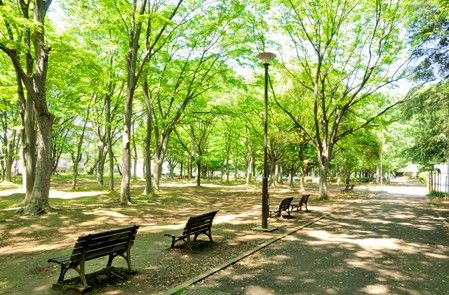 都立城北中央公園の画像