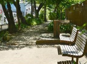 東雲緑道公園の画像