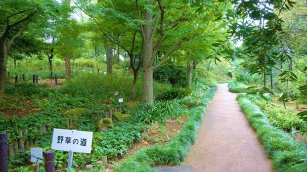 赤塚植物園の画像