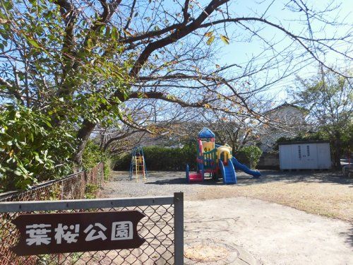 葉桜公園の画像