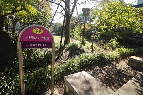 中央通りさくら並木公園の画像