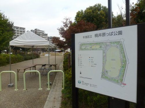 桃井原っぱ公園の画像
