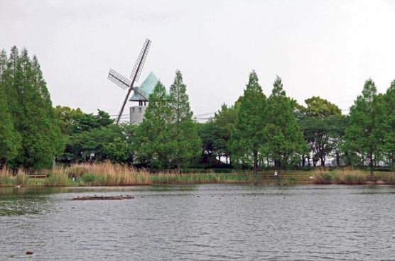 松伏総合公園の画像