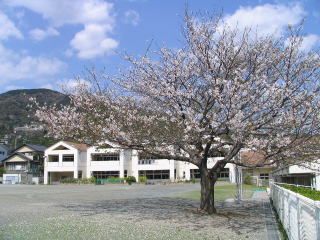 熱海市立多賀小学校の画像