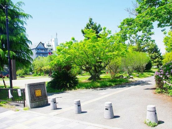 田井庄池公園の画像