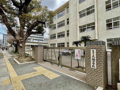 福岡市立大楠小学校の画像