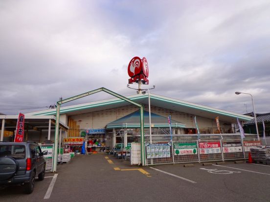 コメリ松浜店の画像