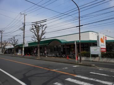 グルメシティ淵野辺本町店の画像