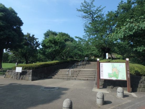 羽根木公園の画像