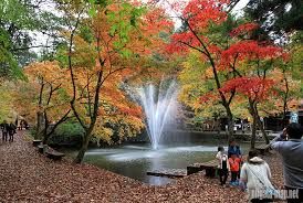 加茂山公園の画像