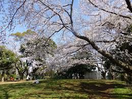 岡村公園の画像