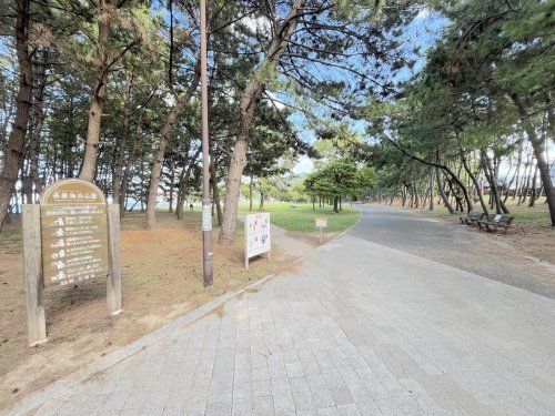 長垂海浜公園の画像