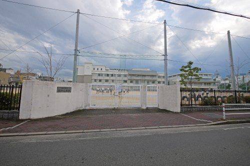 園和小学校の画像