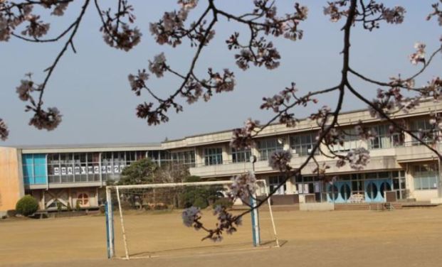 松葉小学校の画像