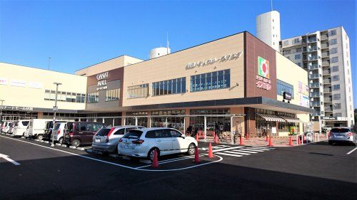 デイリーカナートイズミヤ伏見店の画像