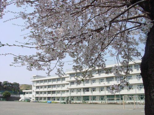 座間市立立野台小学校の画像