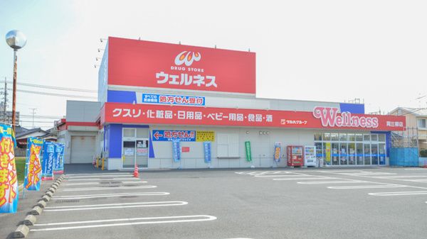 ドラッグストアウェルネス 両三柳店の画像