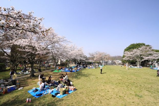 天神公園の画像