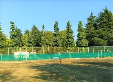 大南公園テニスコートの画像