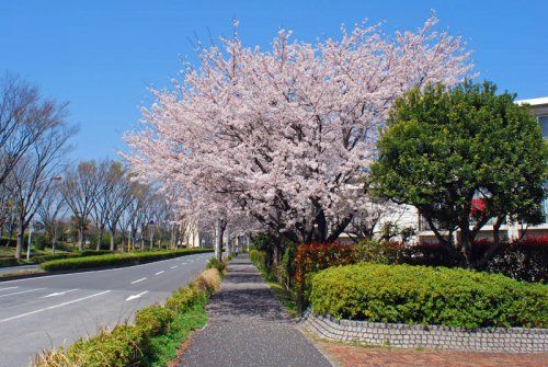 遠藤公園の画像