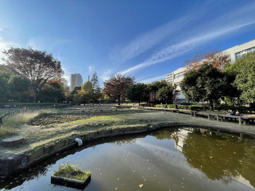 練馬区立秋の陽公園の画像