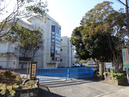 坂田小学校の画像