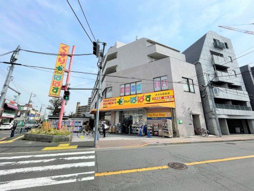 どらっぐぱぱす 氷川台駅前店の画像