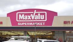 Maxvalu(マックスバリュ) 太子橋店の画像