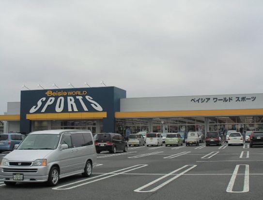 ベイシアワールドスポーツ川島インター店の画像