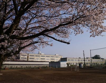 毛呂山町立川角中学校の画像