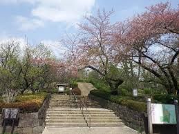 世田谷区羽根木公園の画像