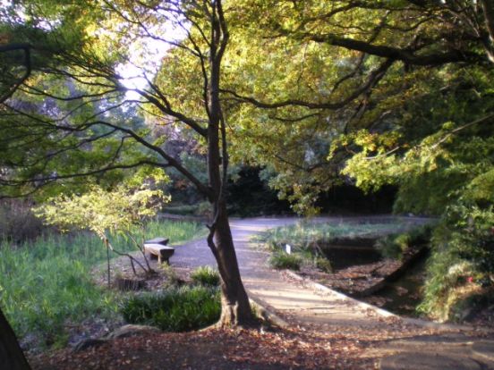 道保川公園の画像