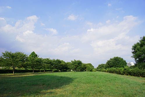 笹井河川敷公園の画像