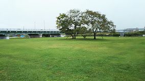 荒川河川敷運動場多目的運動広場の画像