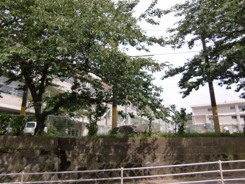 横須賀市立山崎小学校の画像