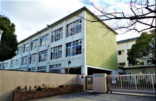 くすのき小学校の画像