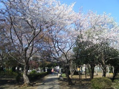 八千代市立南高津小学校の画像