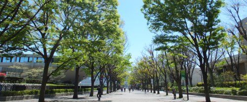 代々木公園の画像