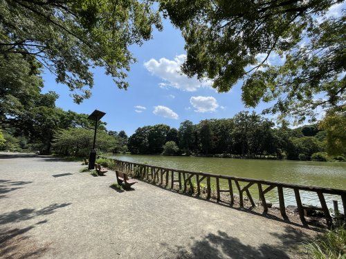 都立善福寺公園の画像