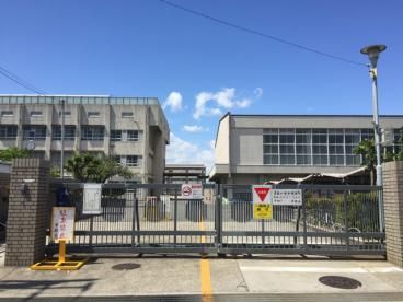 堺市立深井中央中学校の画像