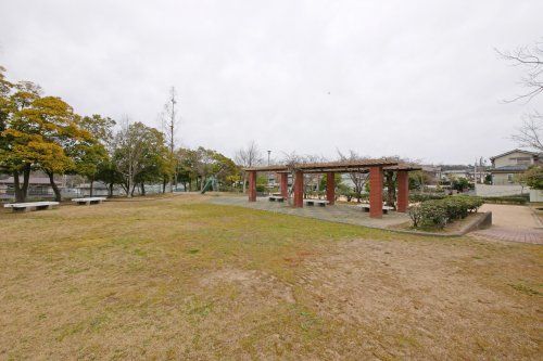 東有野台東公園の画像