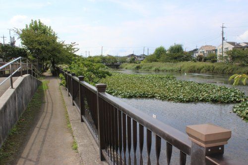 こざと南公園の画像