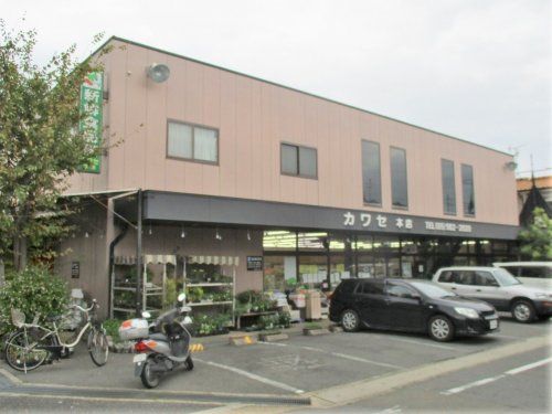 新鮮食品館カワセ本店の画像