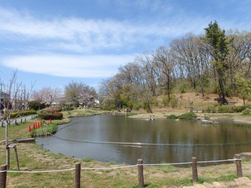 桜台公園の画像