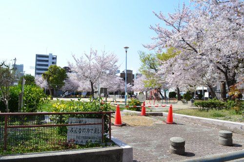 内代公園の画像