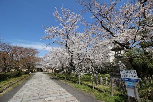 神光院の画像