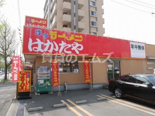 博多ラーメンはかたや 筑紫通店の画像