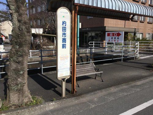 杓田市商前バス停の画像