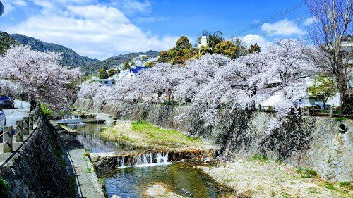 芦屋川の画像